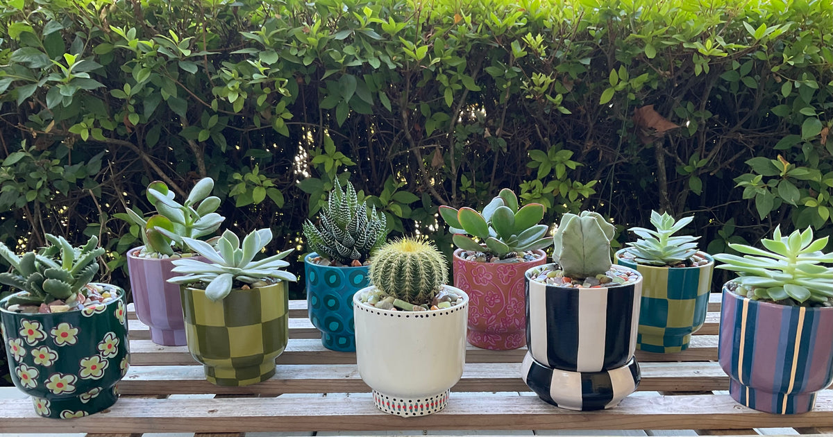 Hand-painted Pots and Planters