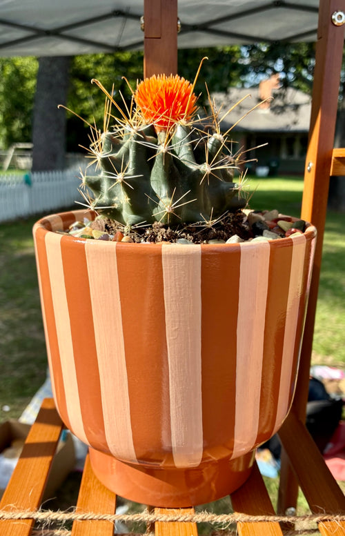 Hand Painted Jumbo Terracotta