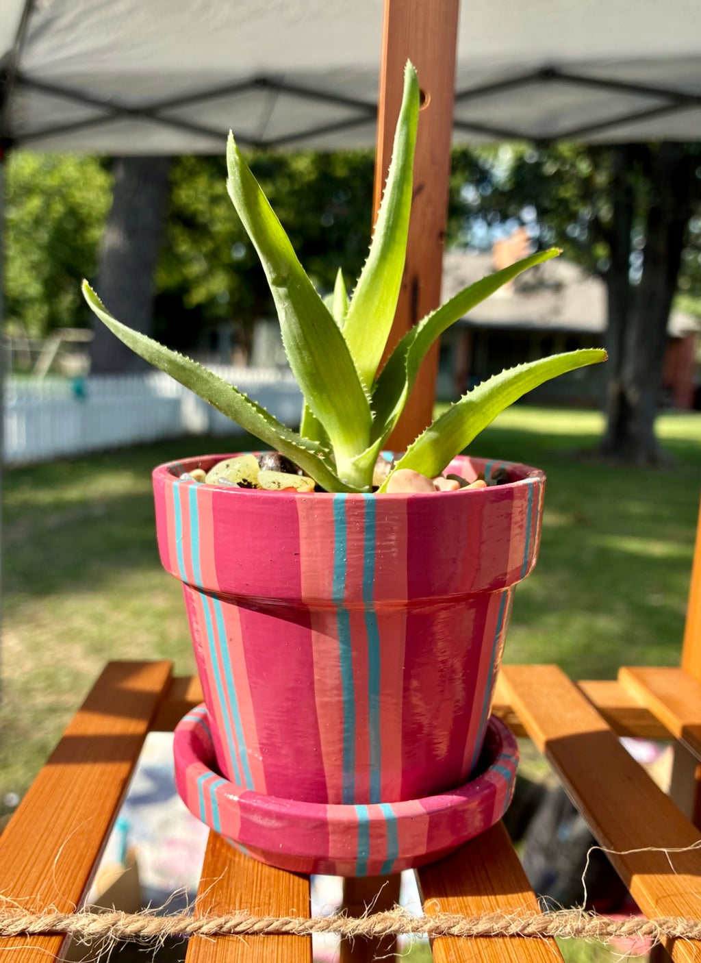 Hand Painted Small Ceramic Terracotta Planter Pot