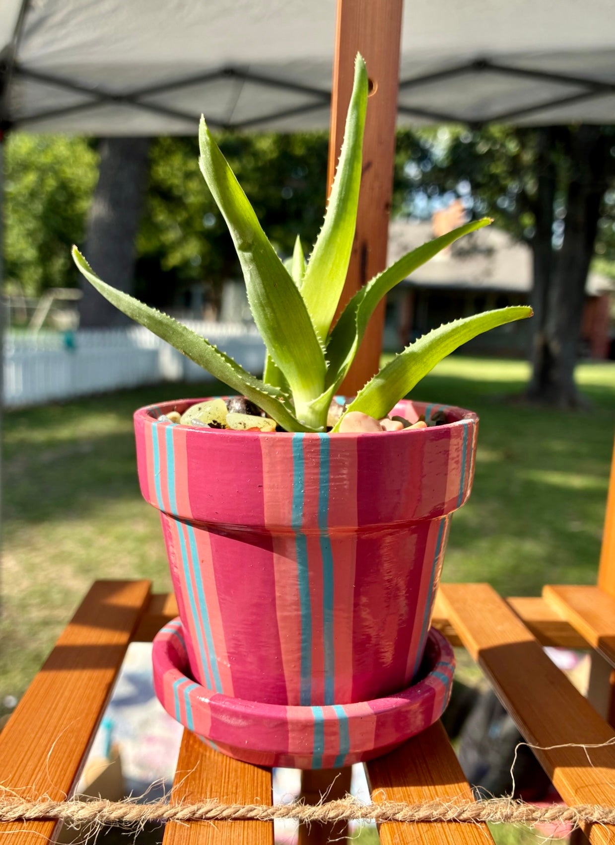 Small Pot Collection