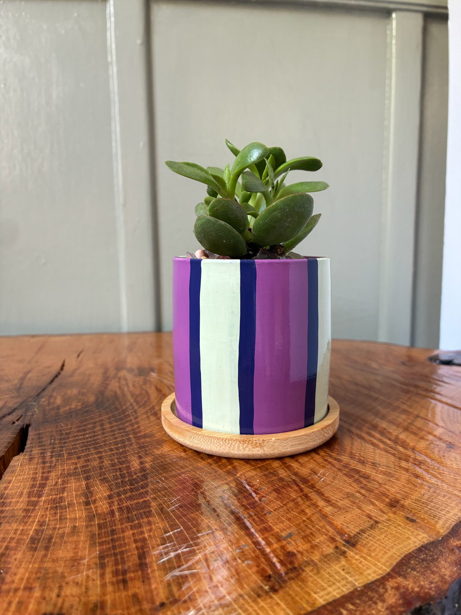 Small Pot Collection