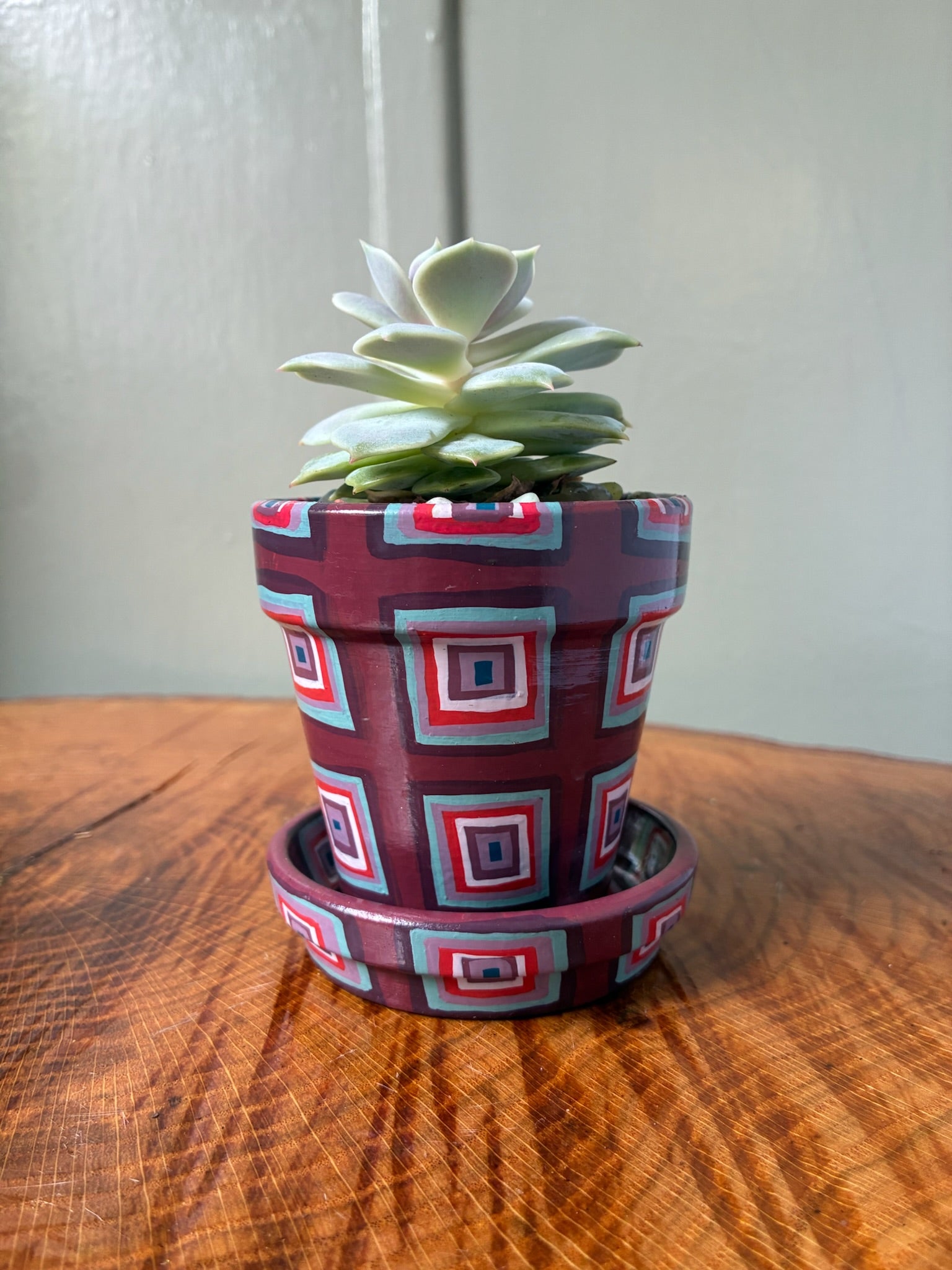 Small Pot Collection