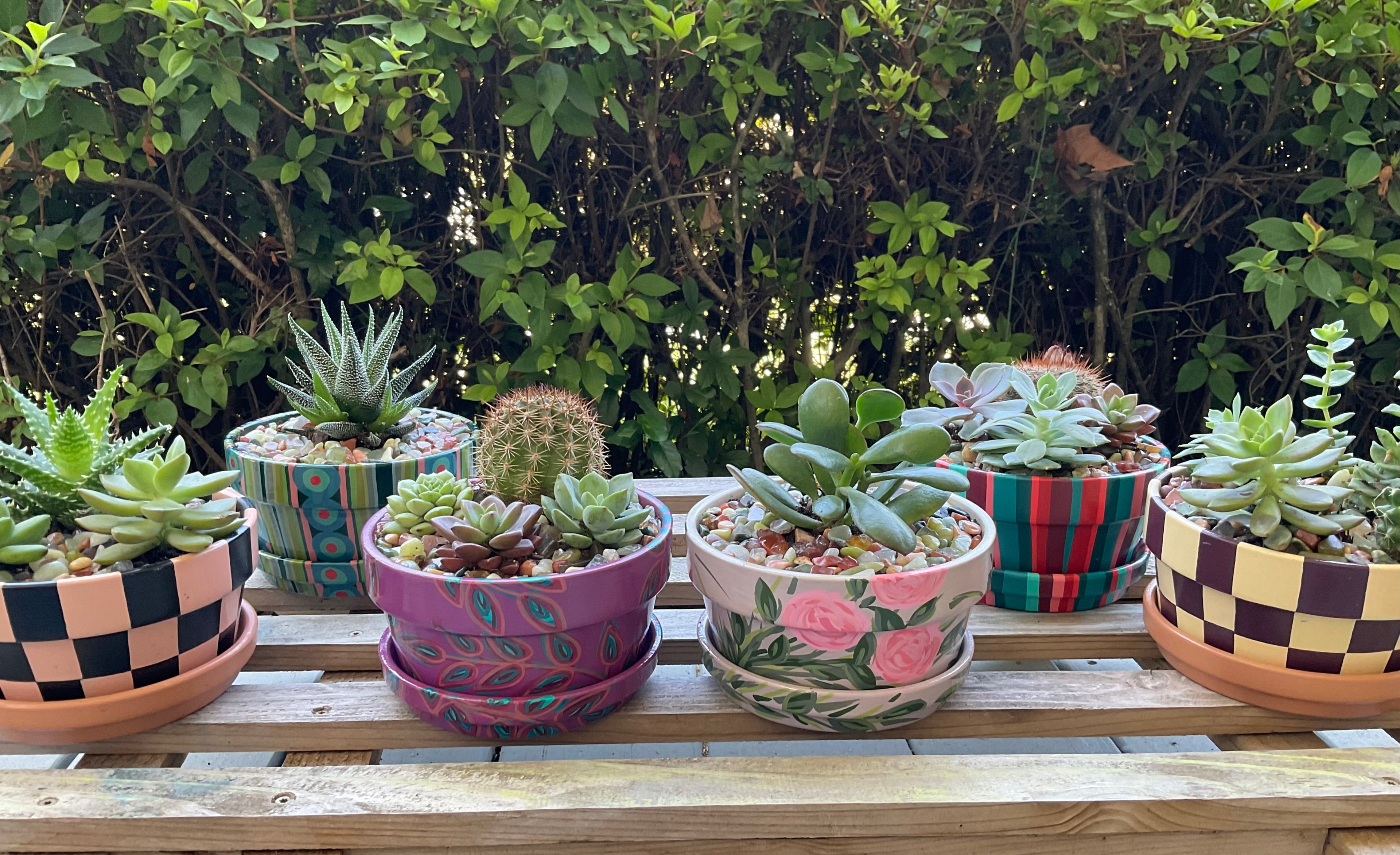 Large Planter Collection