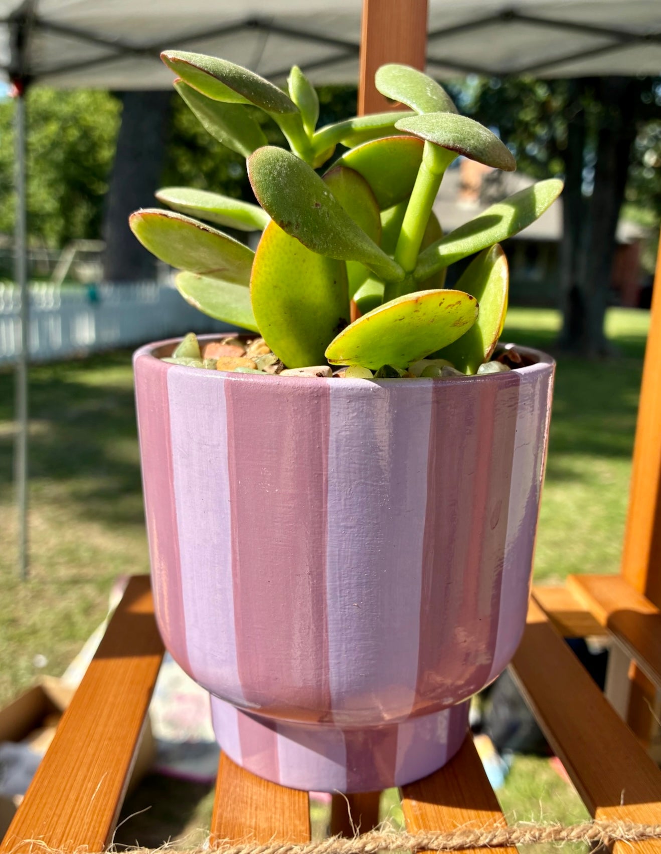 Bold Stripes- monochrome mauve