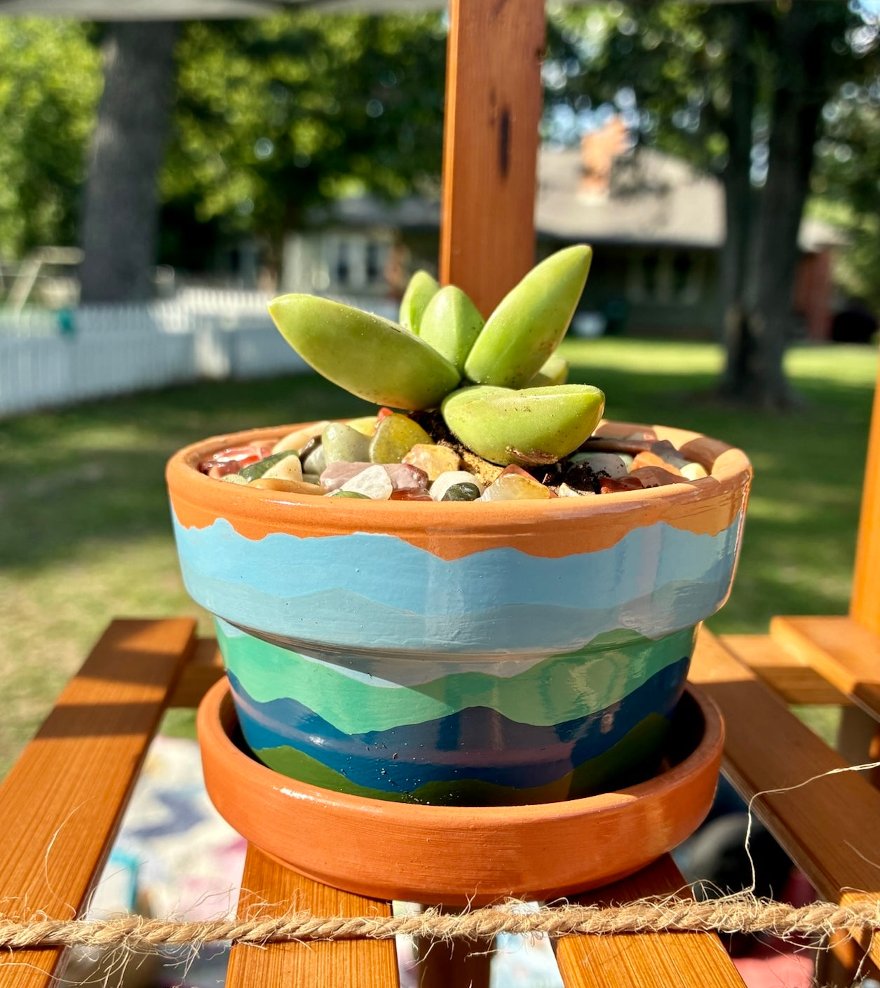 Small Pot Collection