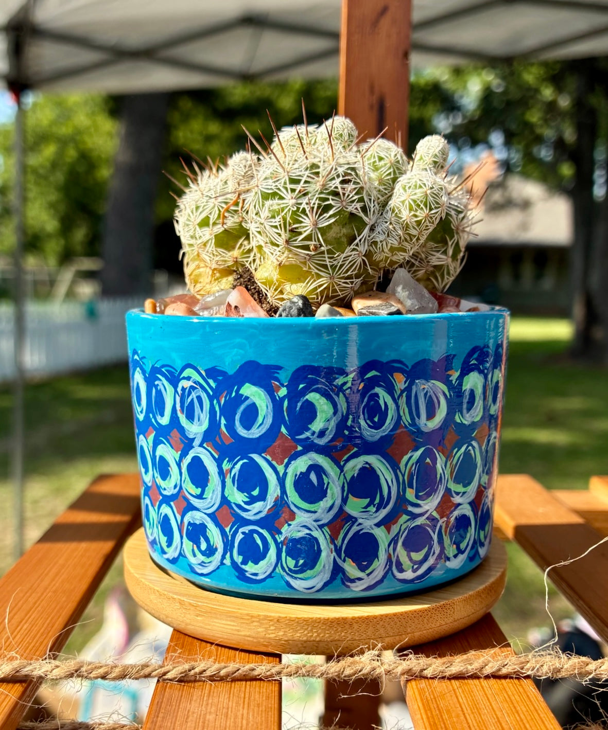 Small Pot Collection