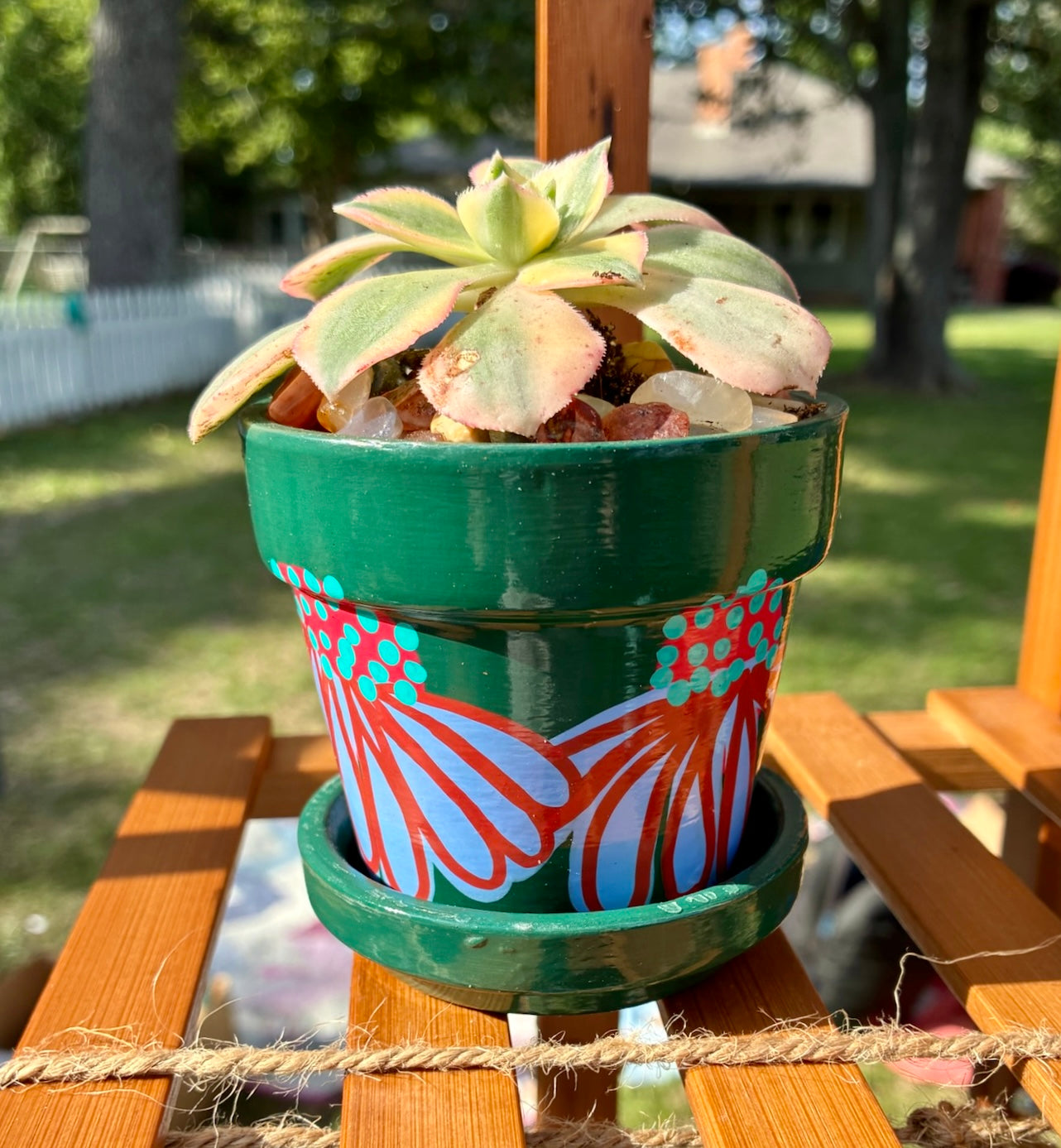 Small Pot Collection