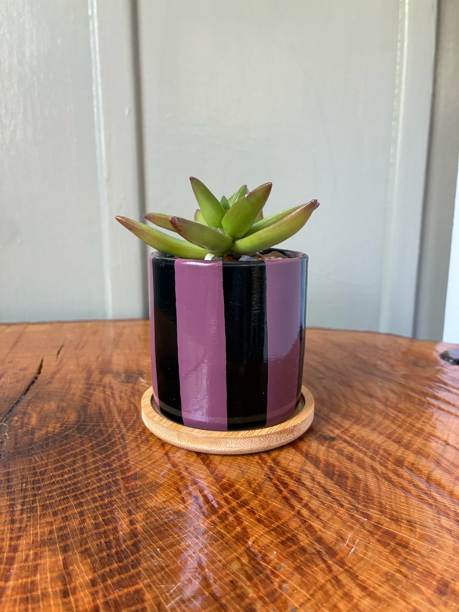 Bold Stripes- black and maroon