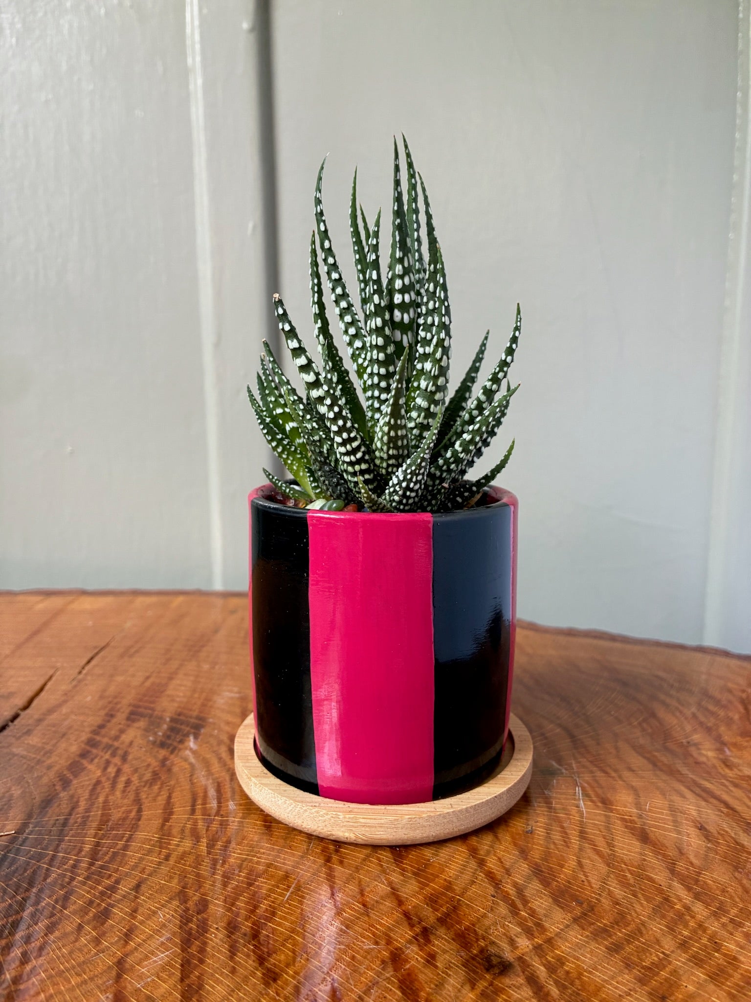 Bold Stripes- black and red