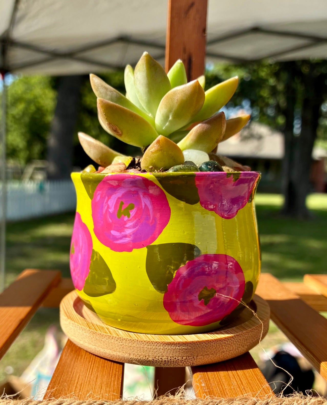 Roses on Chartreuse