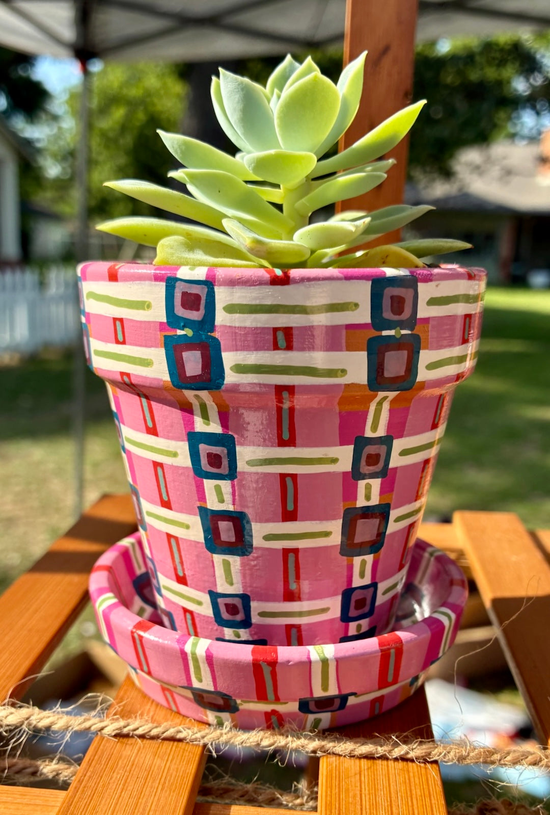 Small Pot Collection
