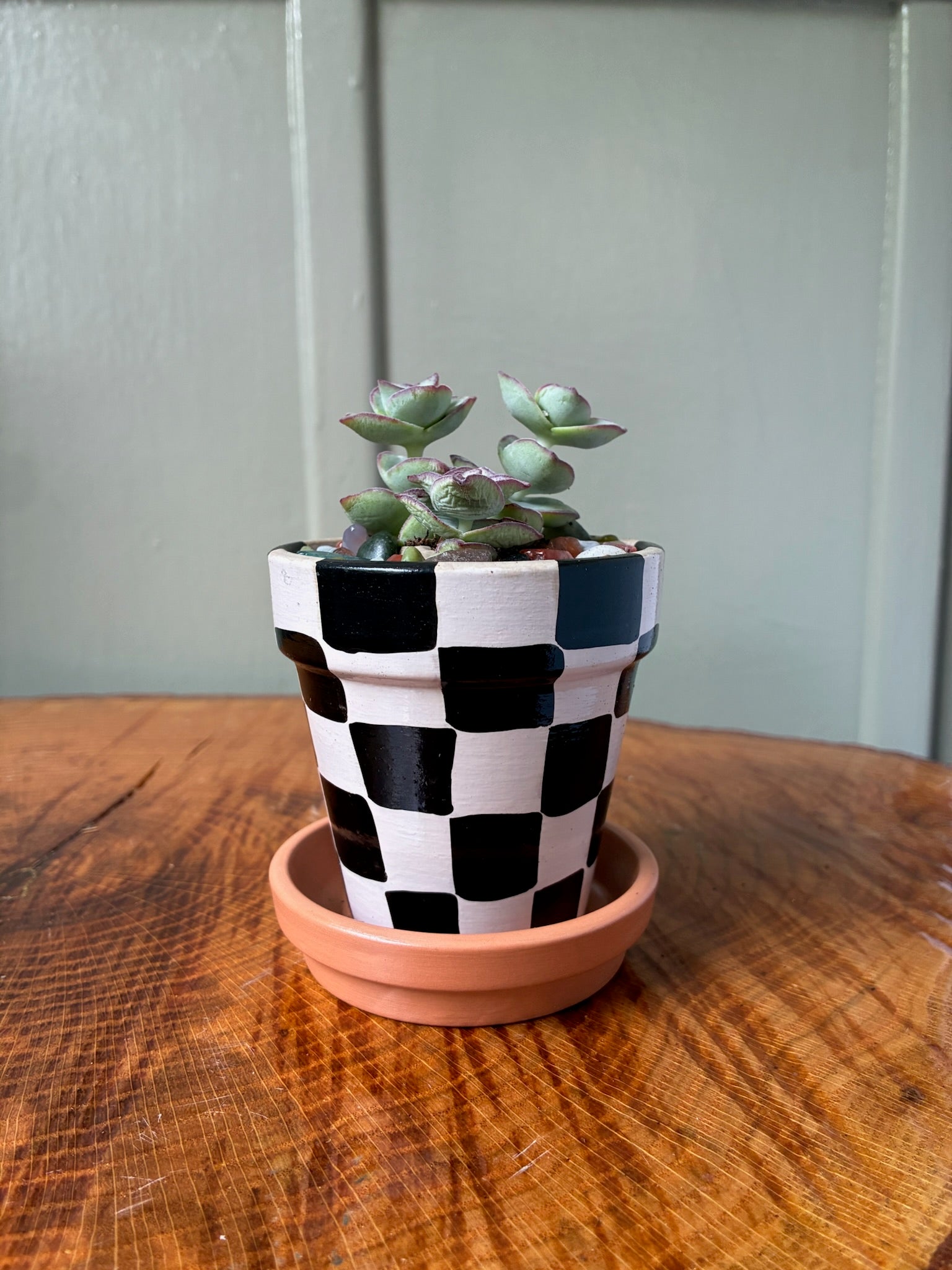 Small Pot Collection