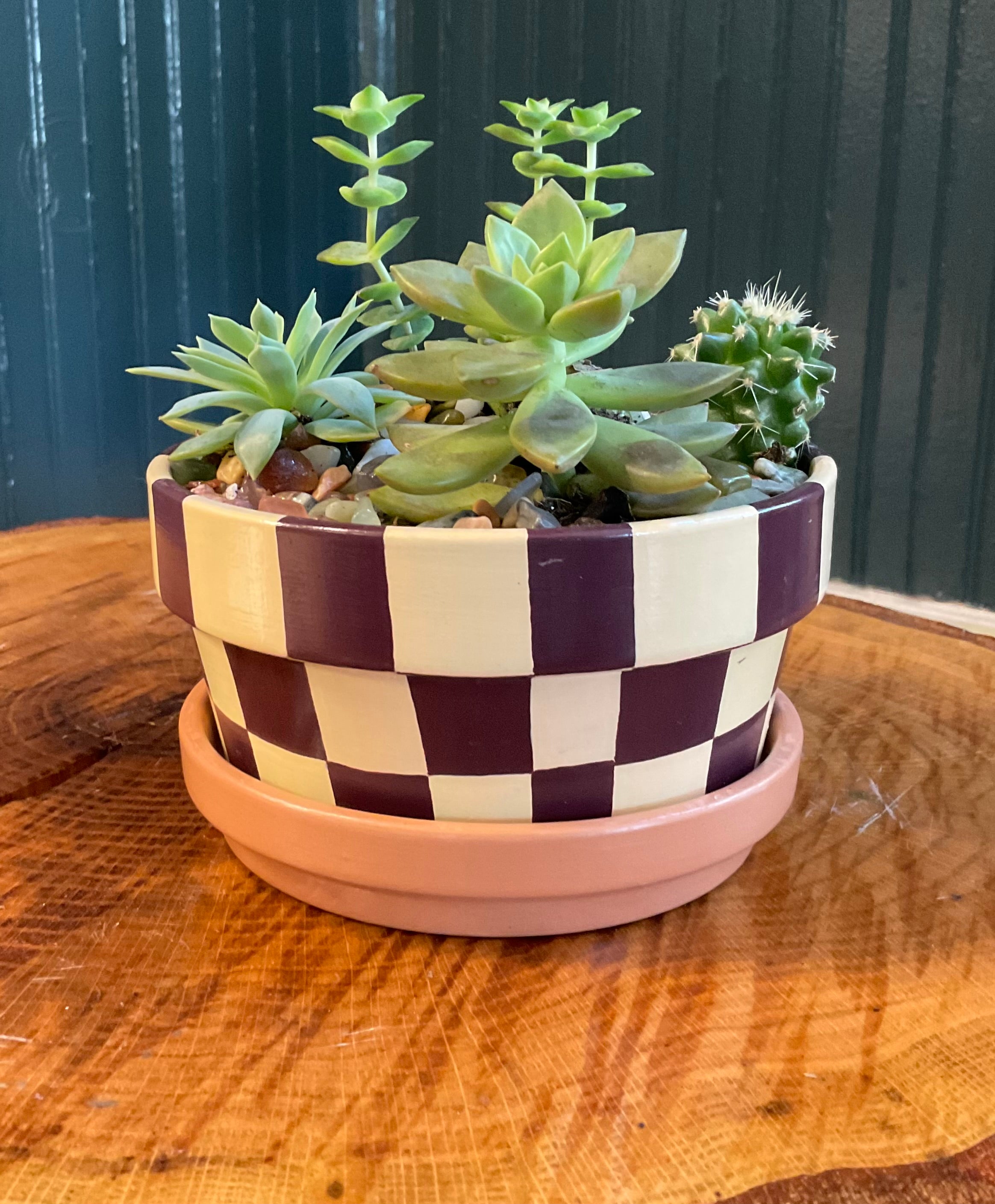 Checkerboard- dark brown and tan