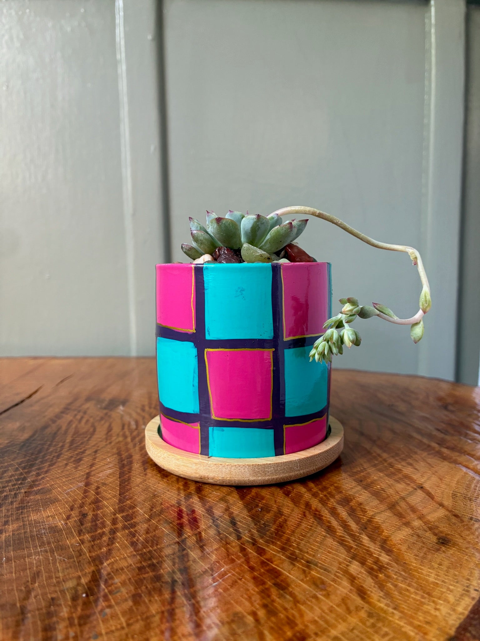 Checkerboard- hot pink and turquoise