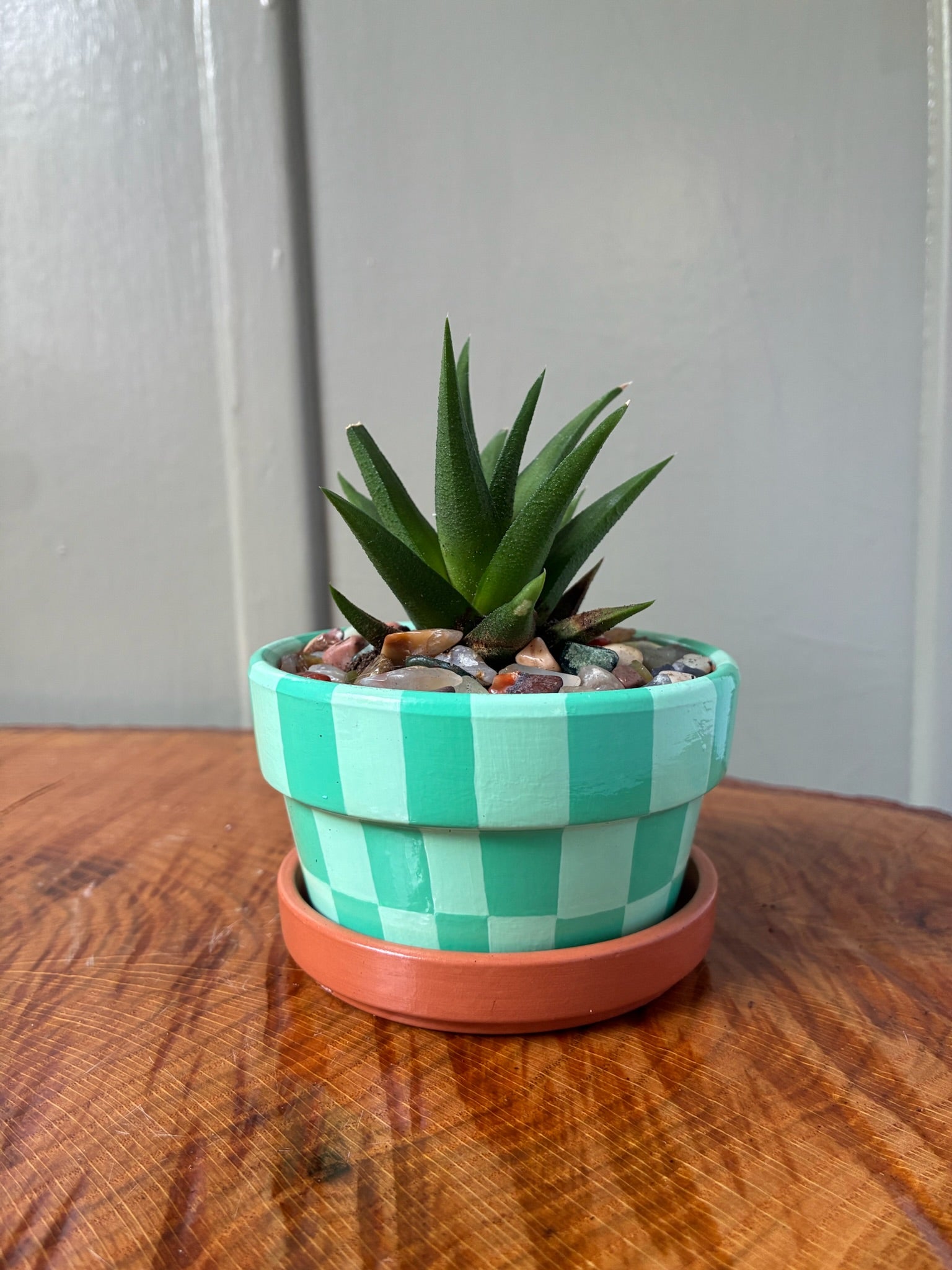 Checkerboard- mint green