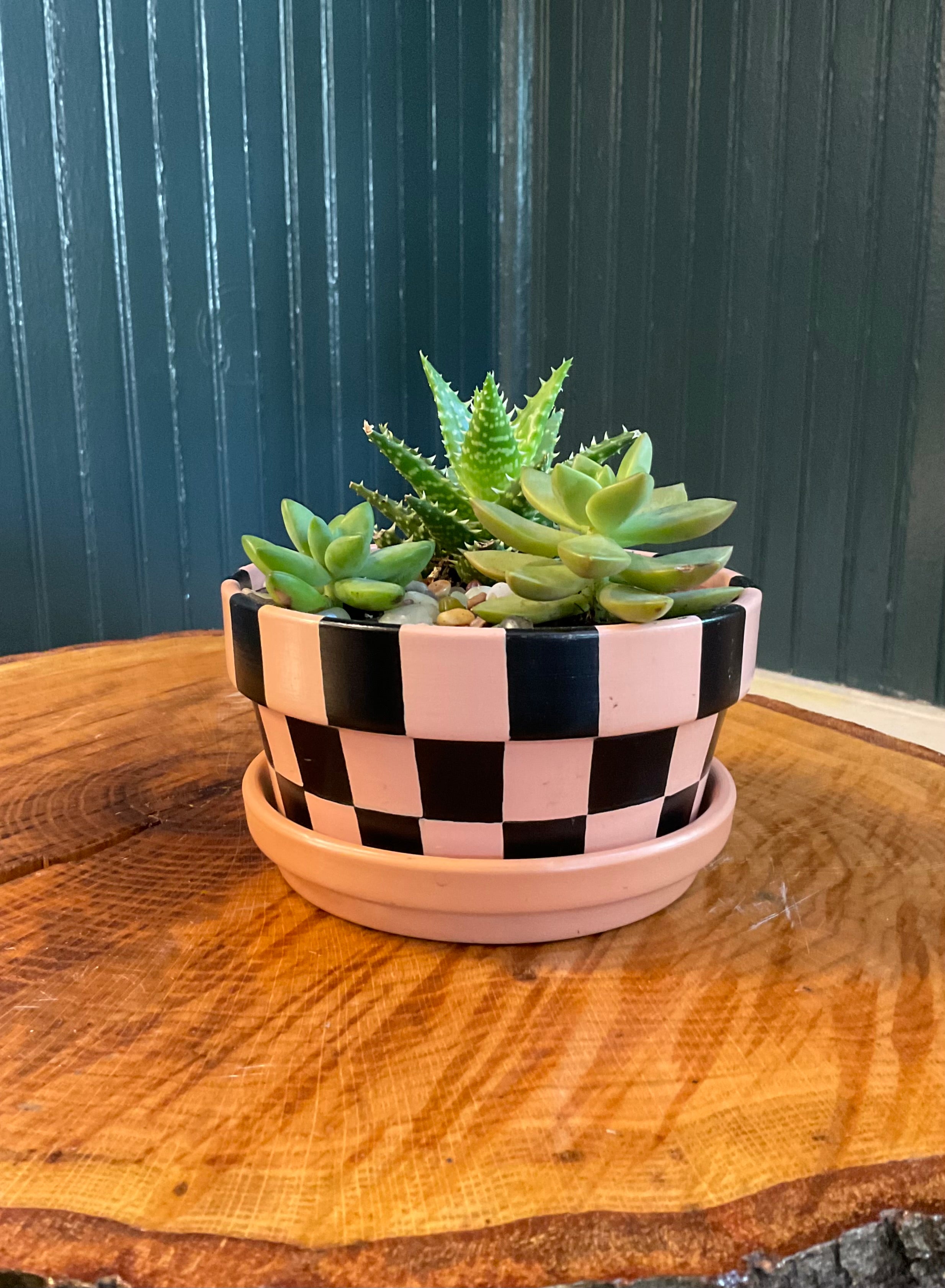 Checkerboard- black and peach