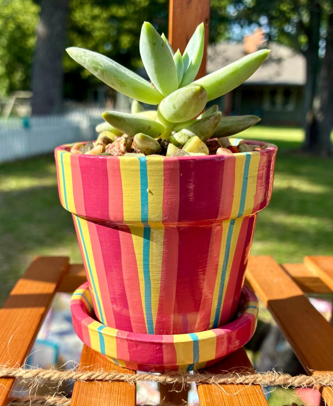 Small Pot Collection