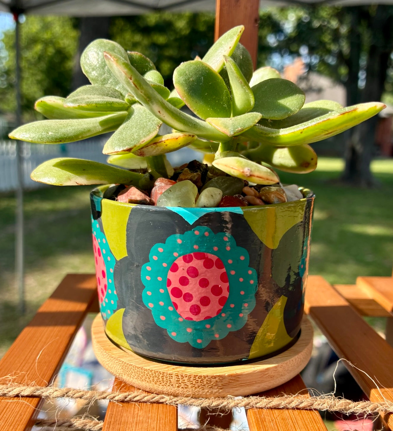 Small Pot Collection