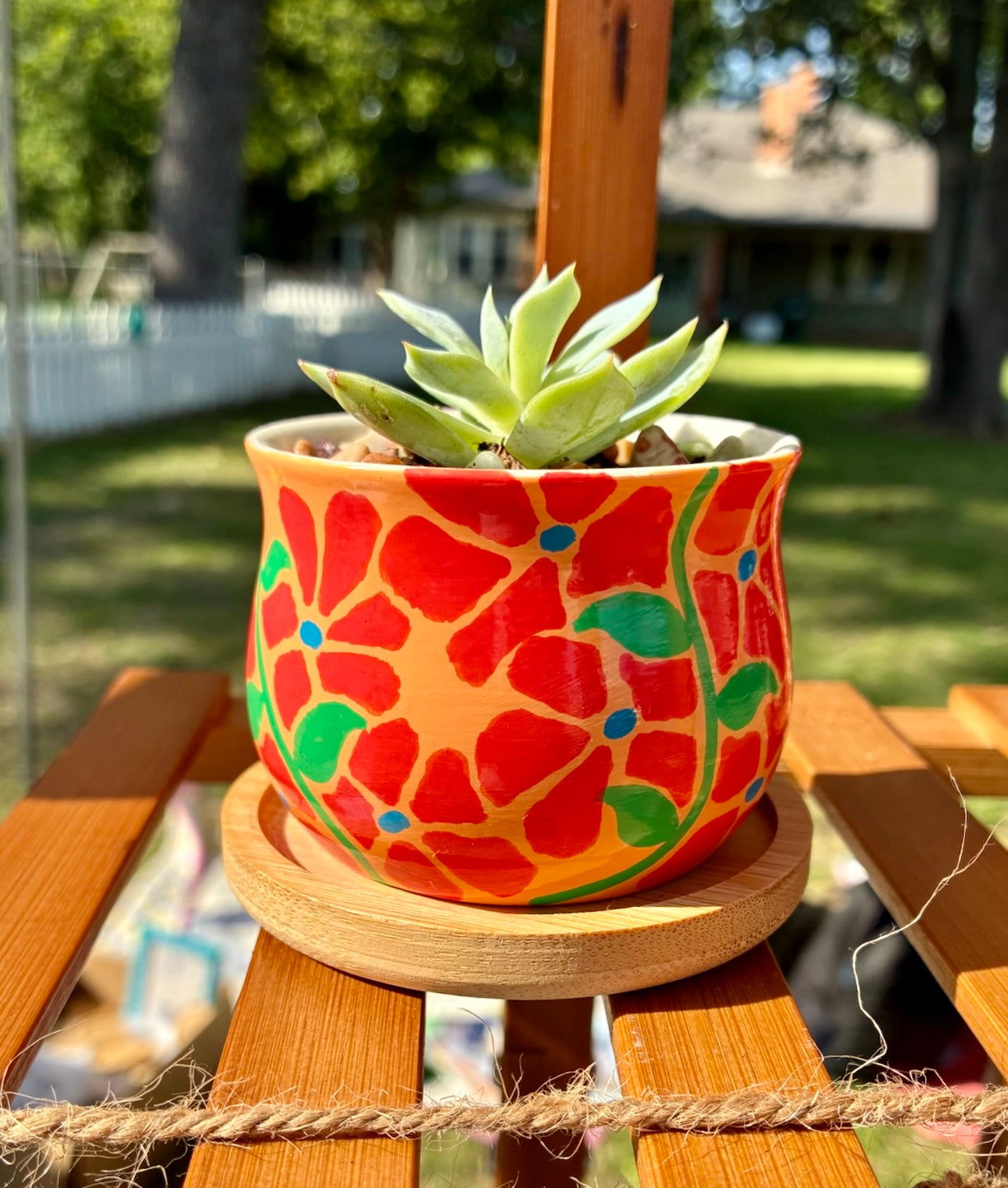 Baby Pot Collection