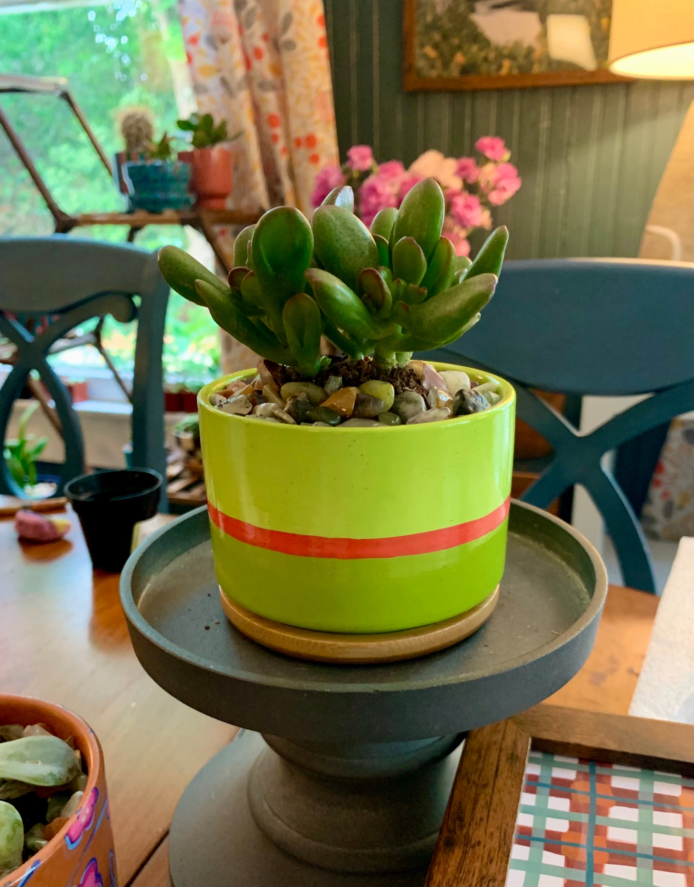 Colorblock Stripe