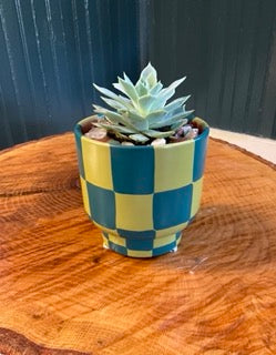 Checkerboard- teal and chartreuse