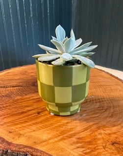 Checkerboard- olive and chartreuse