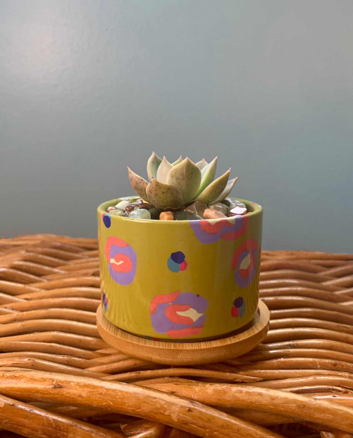 Hand Painted Small Ceramic Terracotta Planter Pot