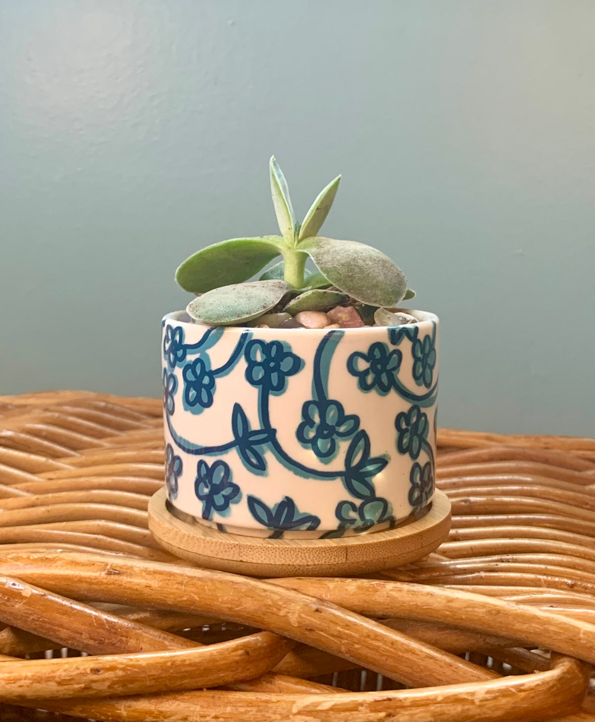 Hand Painted Small Ceramic Terracotta Planter Pot
