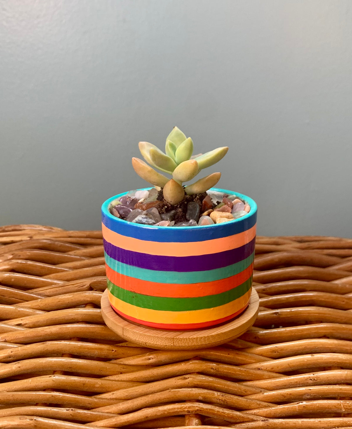 Hand Painted Small Ceramic Terracotta Planter Pot