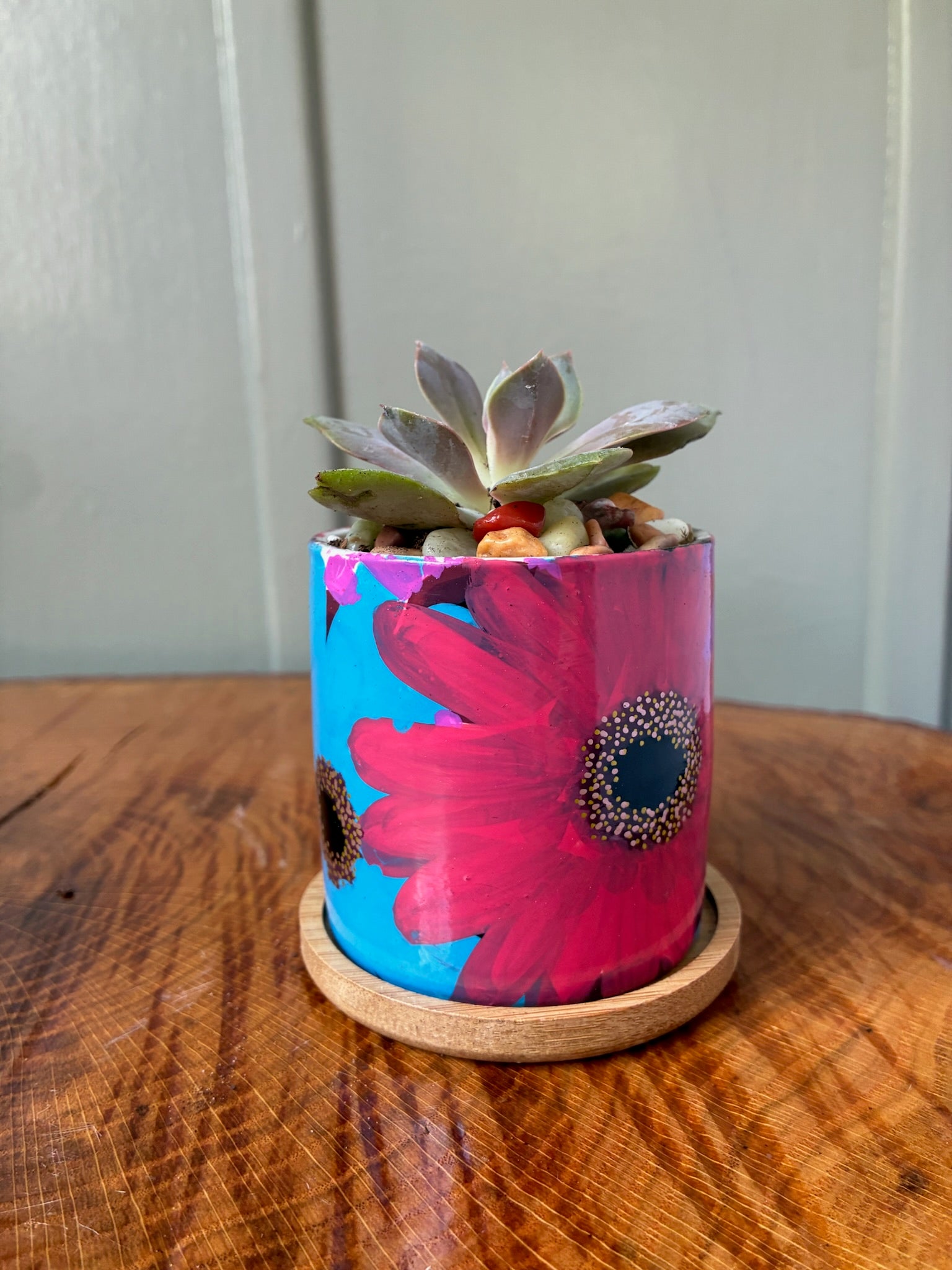 Small Pot Collection