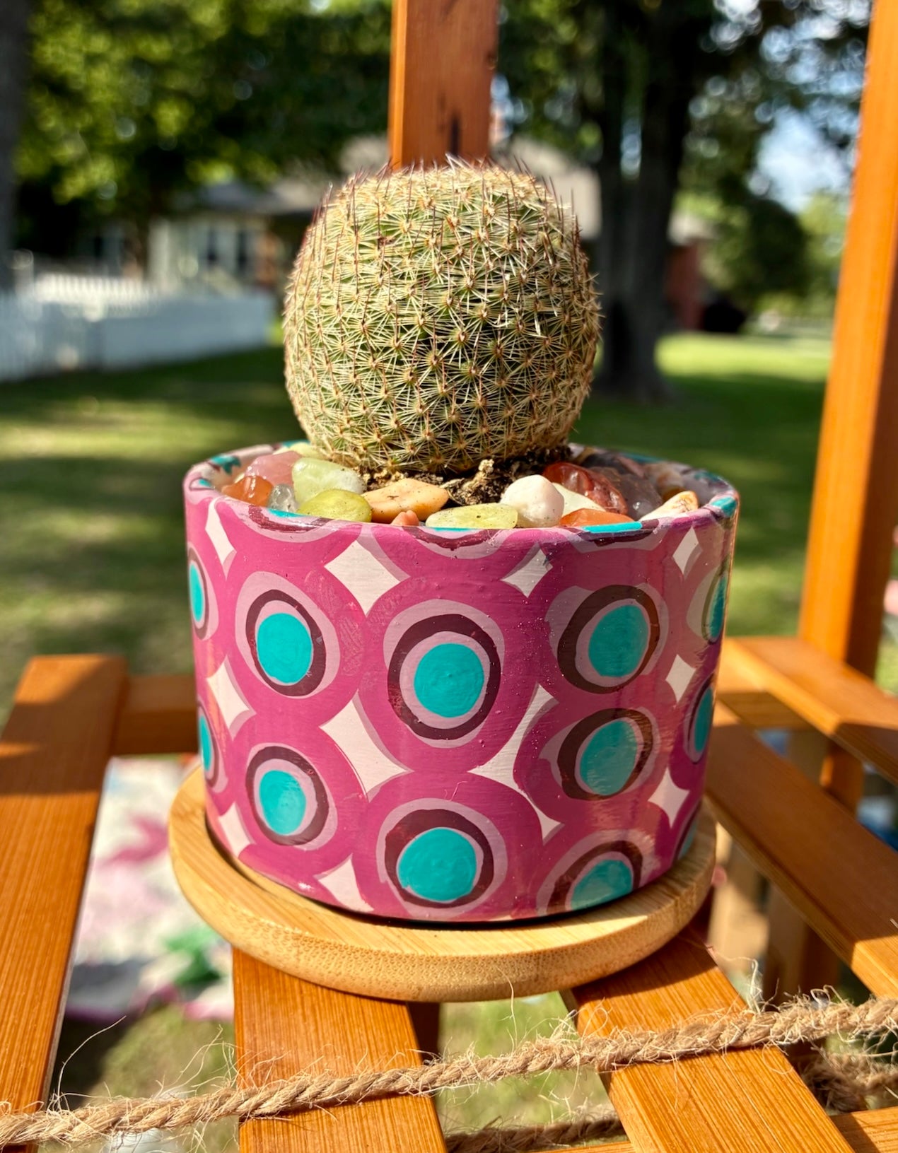Small Pot Collection